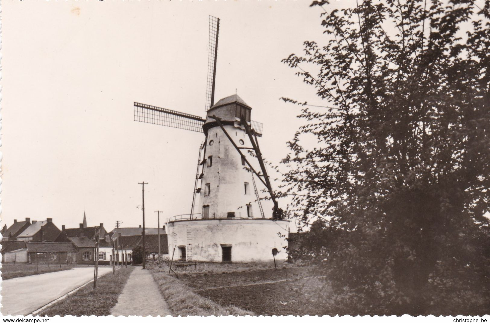 Zwevegem Stenen Molen, Moulin, Windmill (pk70651) - Zwevegem