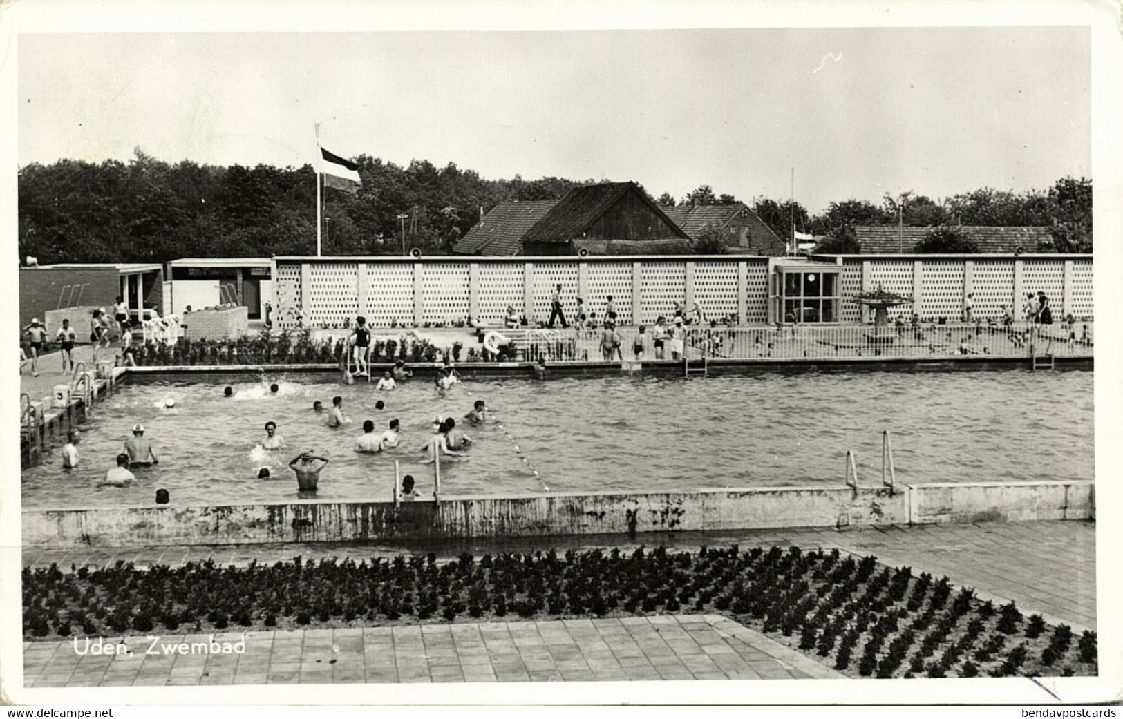 Nederland, UDEN, Zwembad (1959) Ansichtkaart - Uden