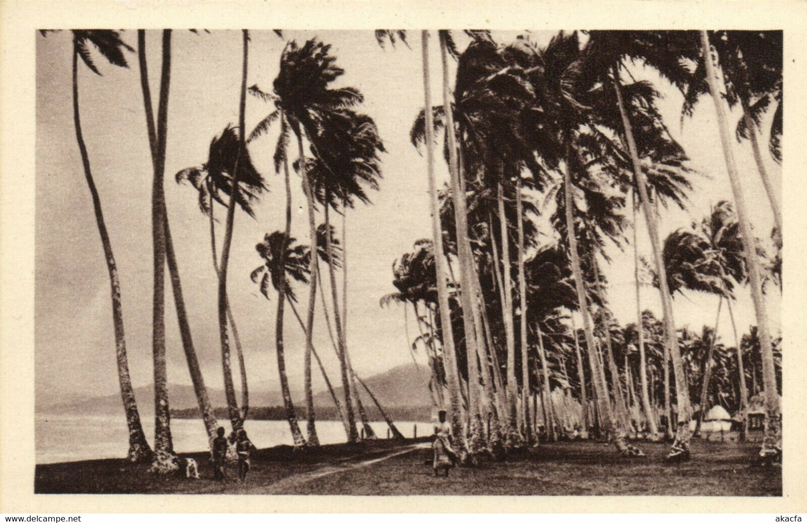 PC CPA SAMOA, PACIFIC, UN ORAGE SUR SAMOA, Vintage Postcard (b19450) - Samoa