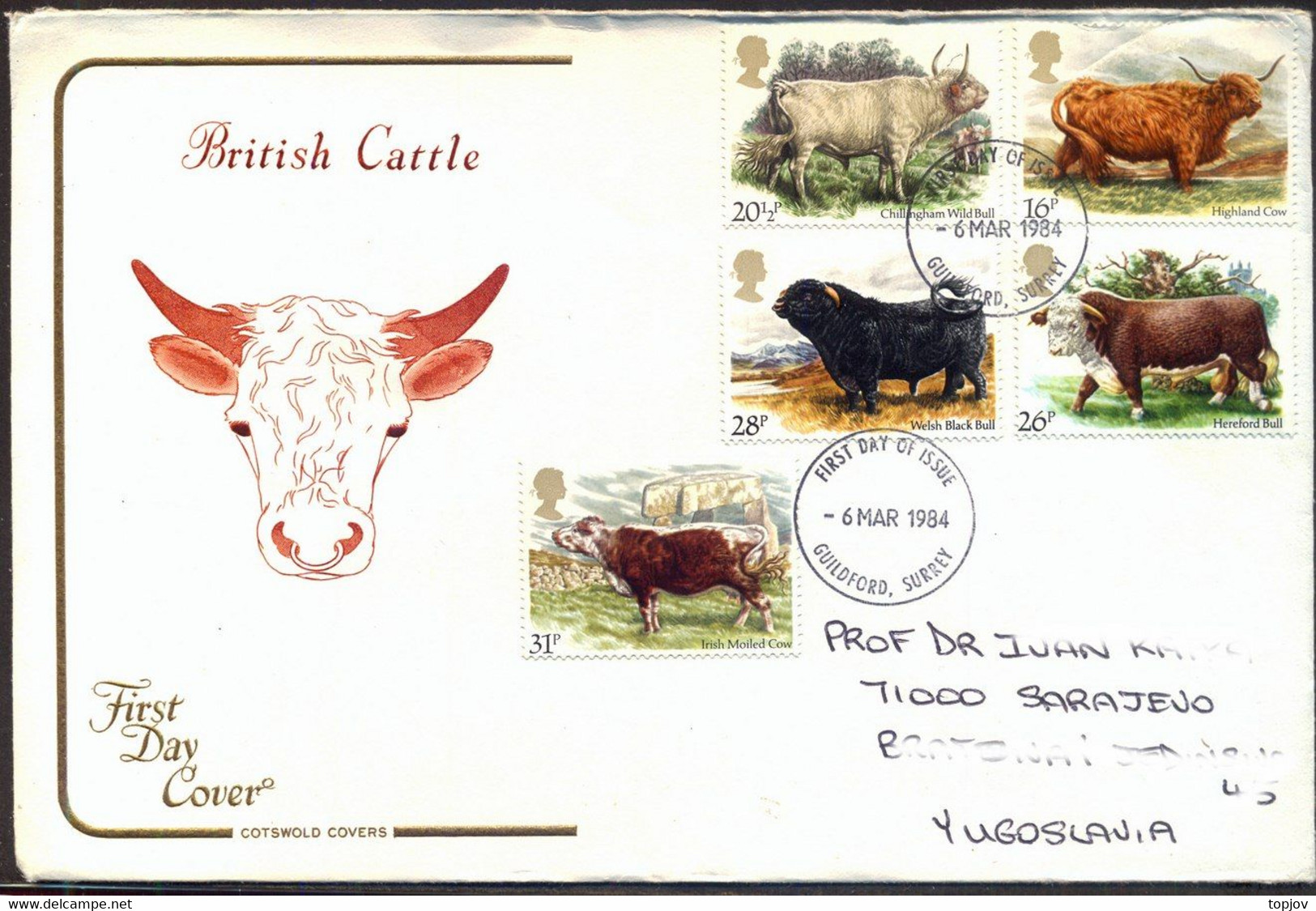 UK - BRITISH  CATTLE - 1984 - Farm