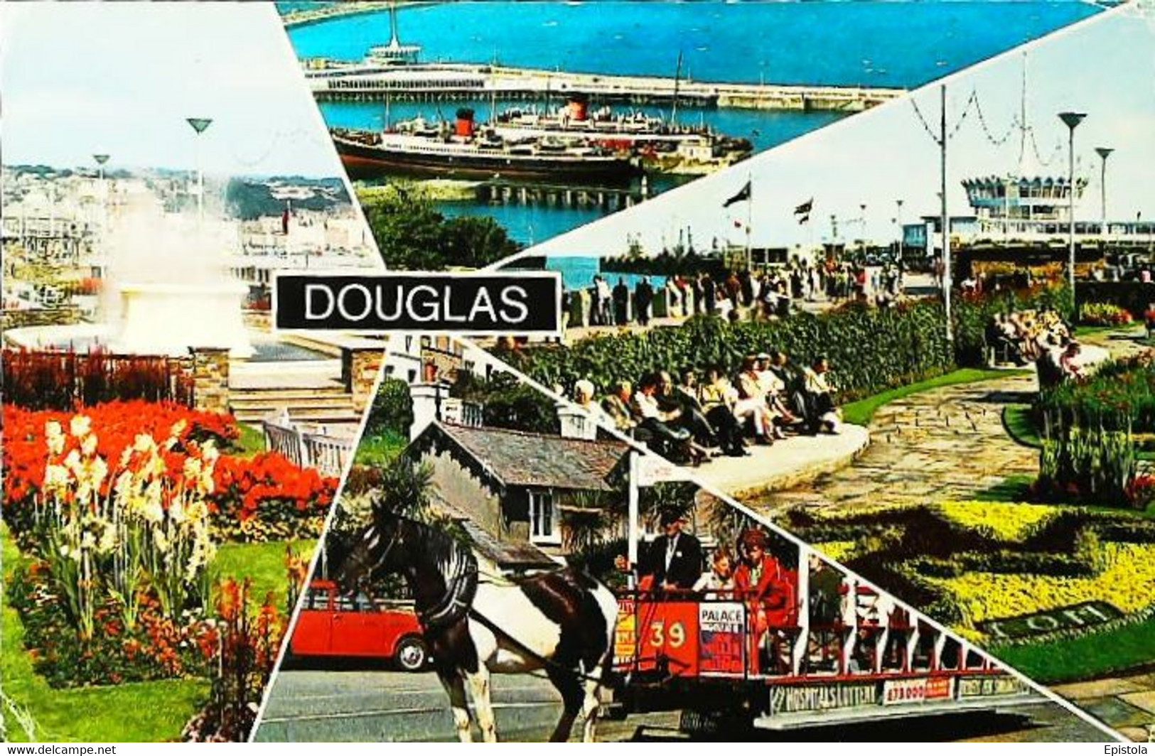 Attelage    Cheval  Douglas - Attelages