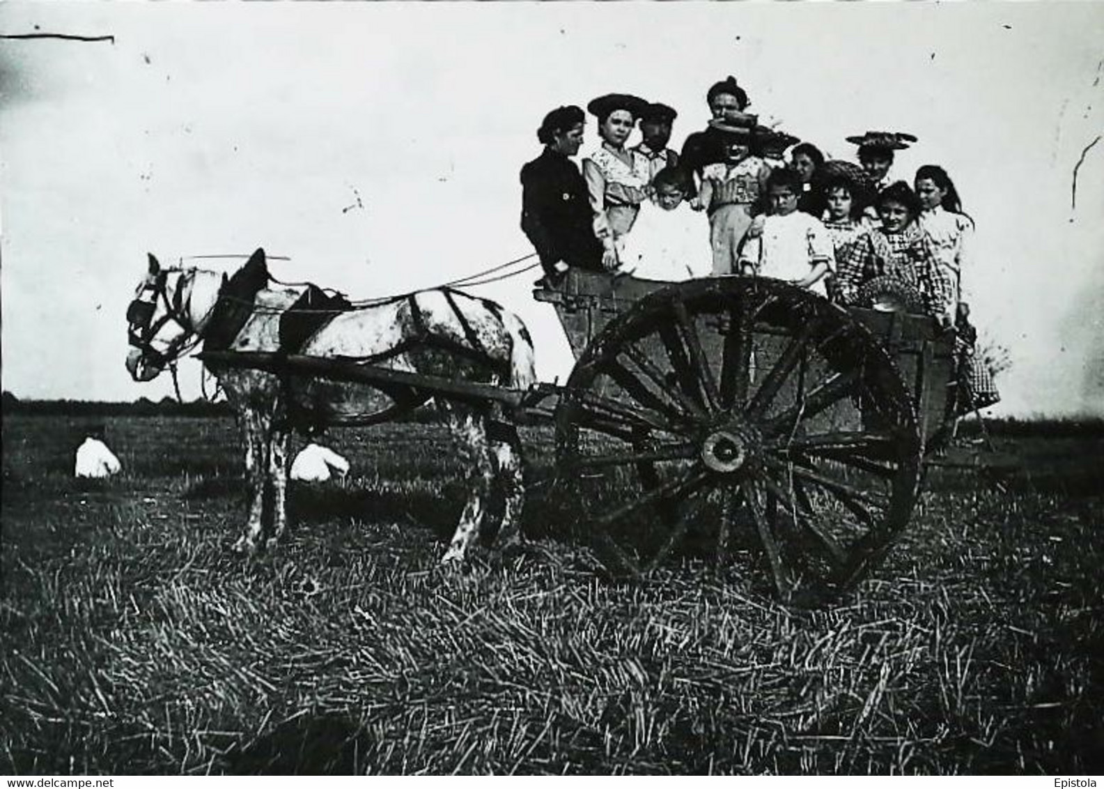 Attelage Champetre   Carriage Of Broom  Labour  Beauce Etampes - Attelages