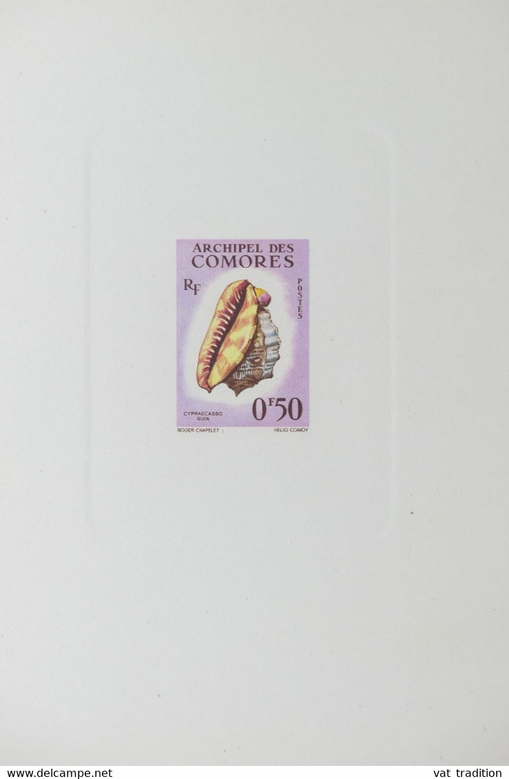 COMORES - Épreuve De Luxe Coquillage N° Yvert 19 - L 73691 - Storia Postale