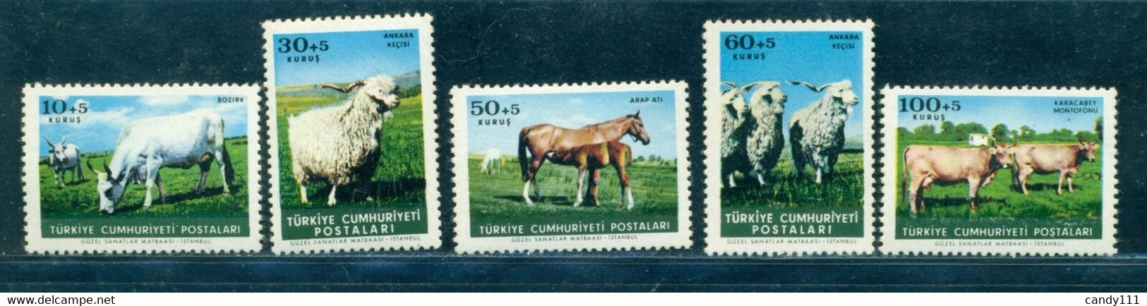 1964 Anatolian Grey Cow, Montafon Cattle, Angora Goat, Arabian Horse, Turkey, Mi. 1919, MNH - Farm