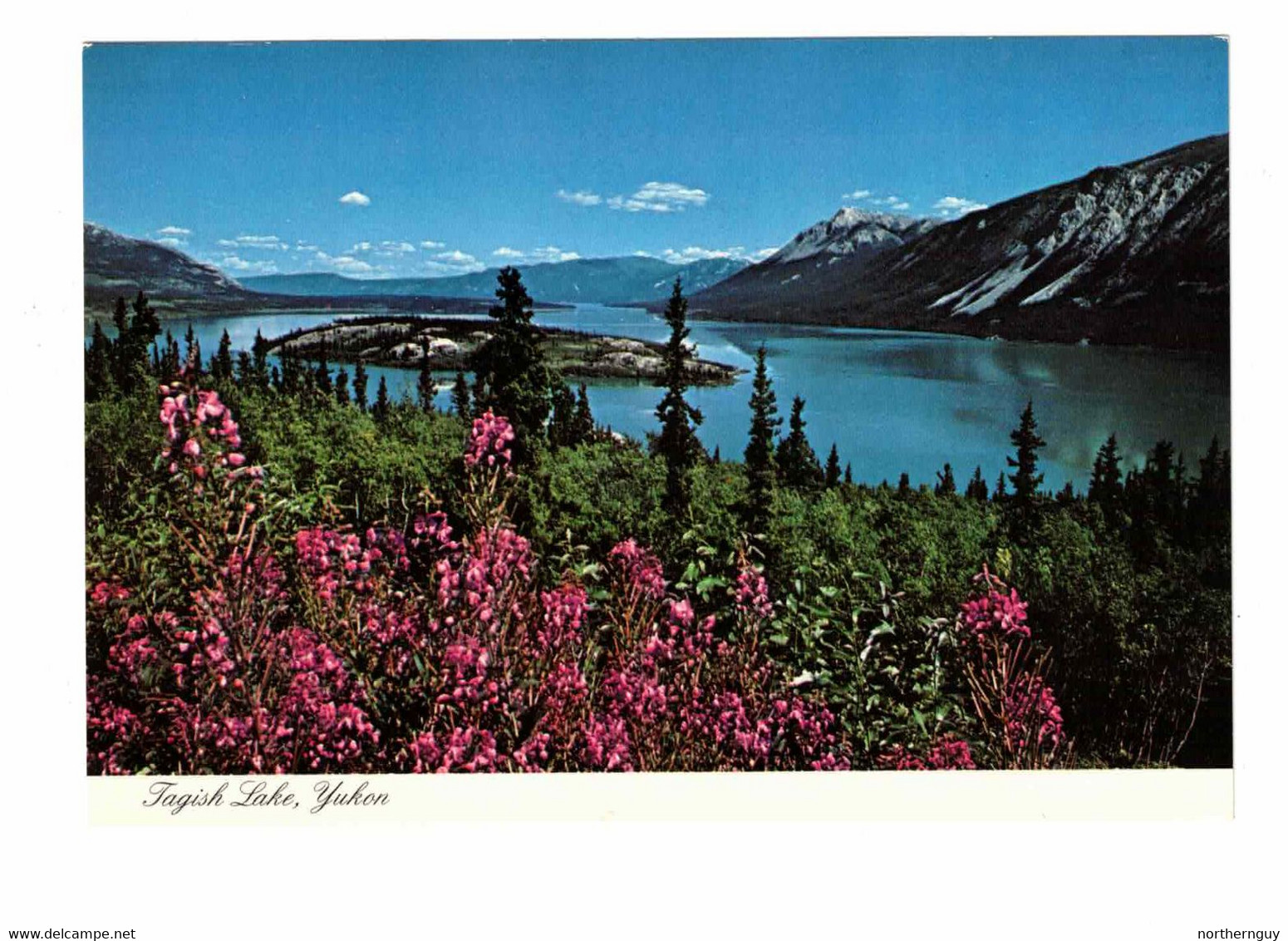 YUKON, Canada, Tagish Lake, Old 4X6 Chrome Postcard - Yukon