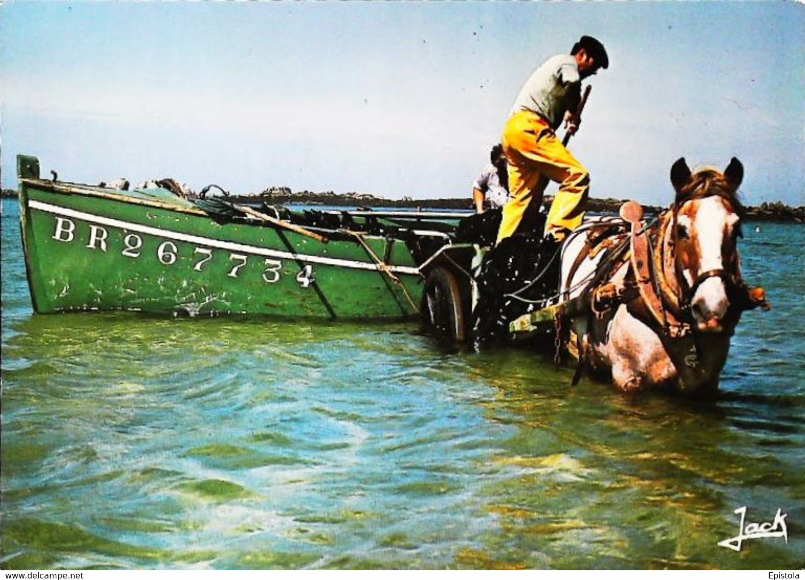 Pecheur Du Goemon De La Cote De Léon      Attelage Cheval - Attelages