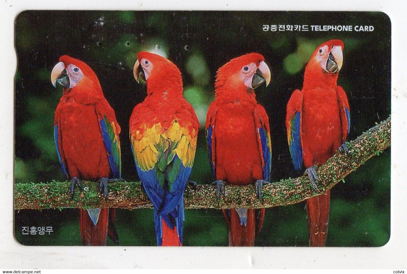 COREE Du SUD TELECARTE PRIVE KOREA TELECOM  PERROQUET - Parrots
