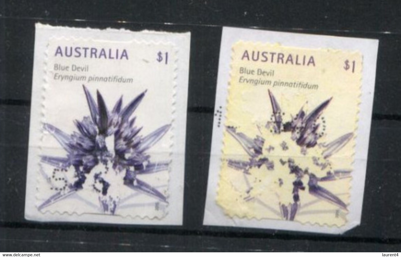 (stamp 17-10-2020) Australia - On Paper - Unusual Flowers Stamps ? Blue Devil - Errors, Freaks & Oddities (EFO)