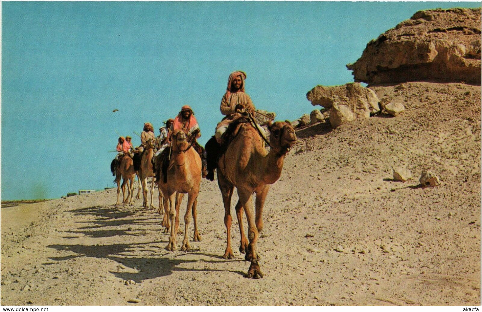 PC CPA BAHRAIN, BAHREIN, CAMEL CARAVAN, Modern Postcard (B3760) - Bahreïn