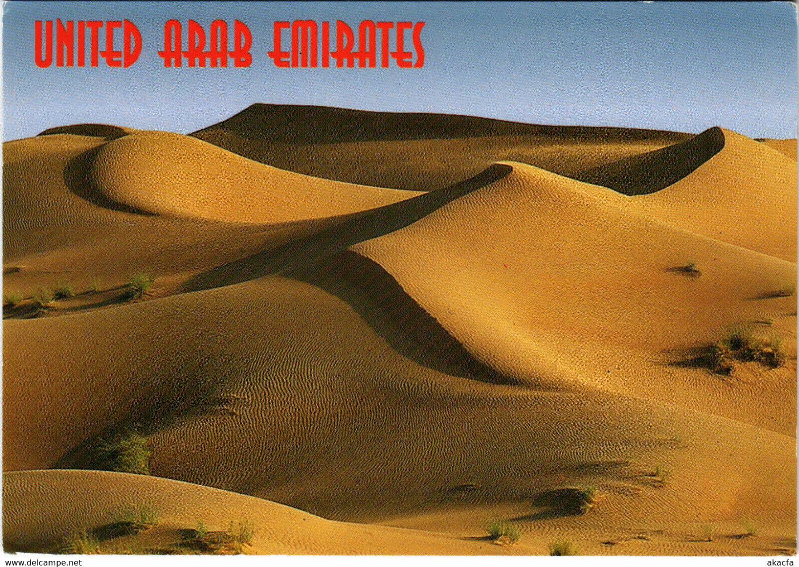 PC CPA U.A.E. , IMPRESSION OF THE DESERT, REAL PHOTO POSTCARD (b16415) - Emirats Arabes Unis