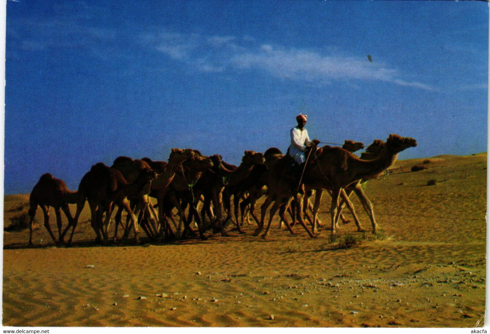 PC CPA U.A.E. , CAMEL CARAVAN, REAL PHOTO POSTCARD (b16408) - Emirats Arabes Unis