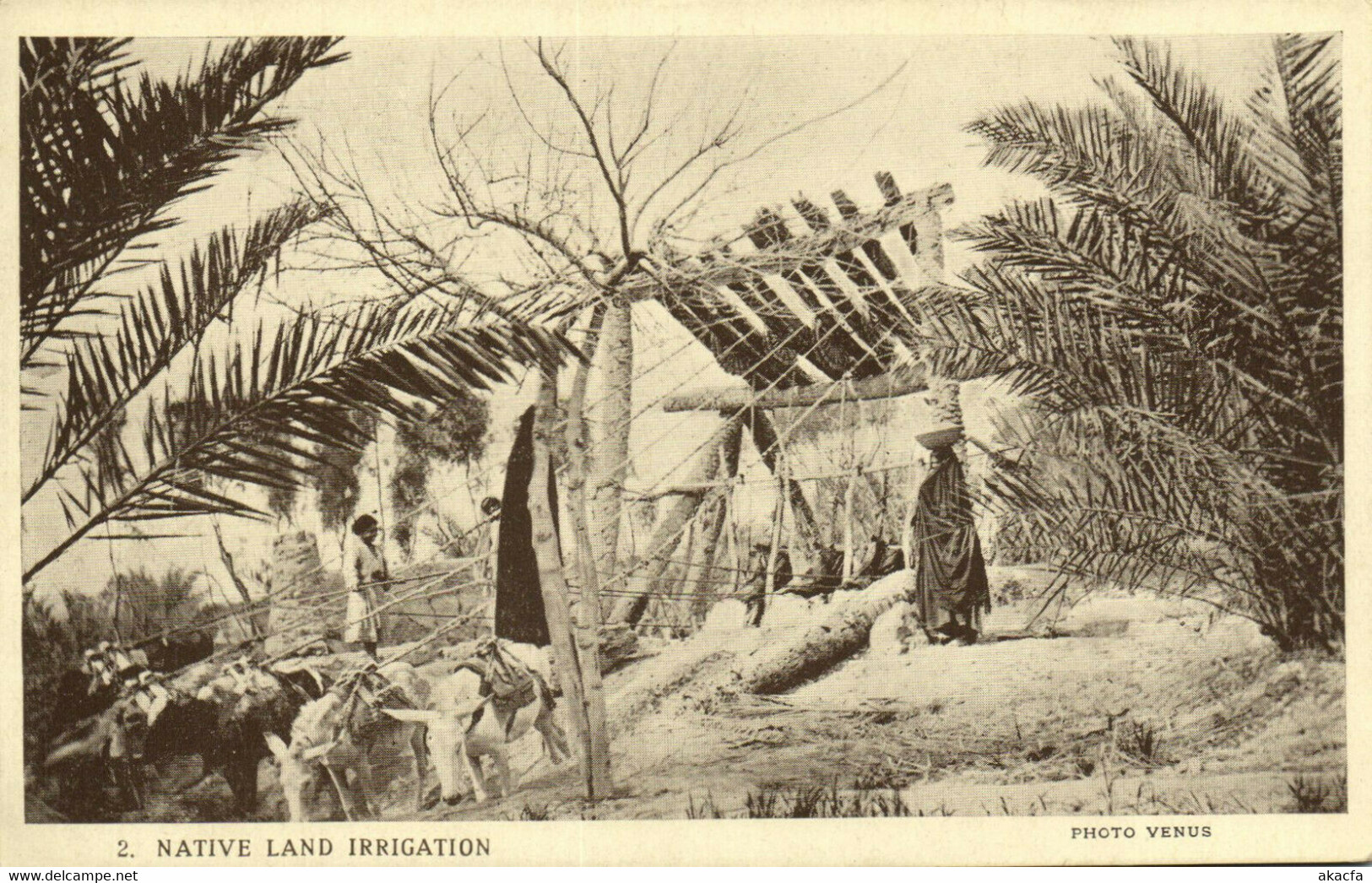 PC CPA IRAQ, NATIVE LAND IRRIGATION, VINTAGE POSTCARD (b16274) - Iraq