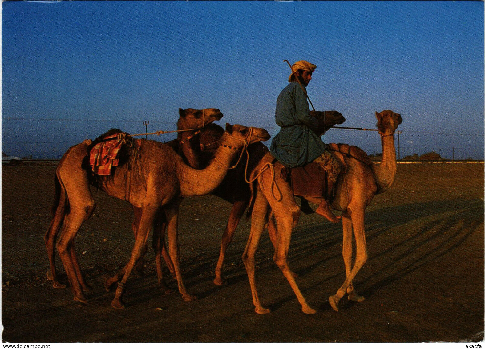 PC CPA SULTANATE OF OMAN, CAMEL RIDER, REAL PHOTO POSTCARD (b16345) - Oman