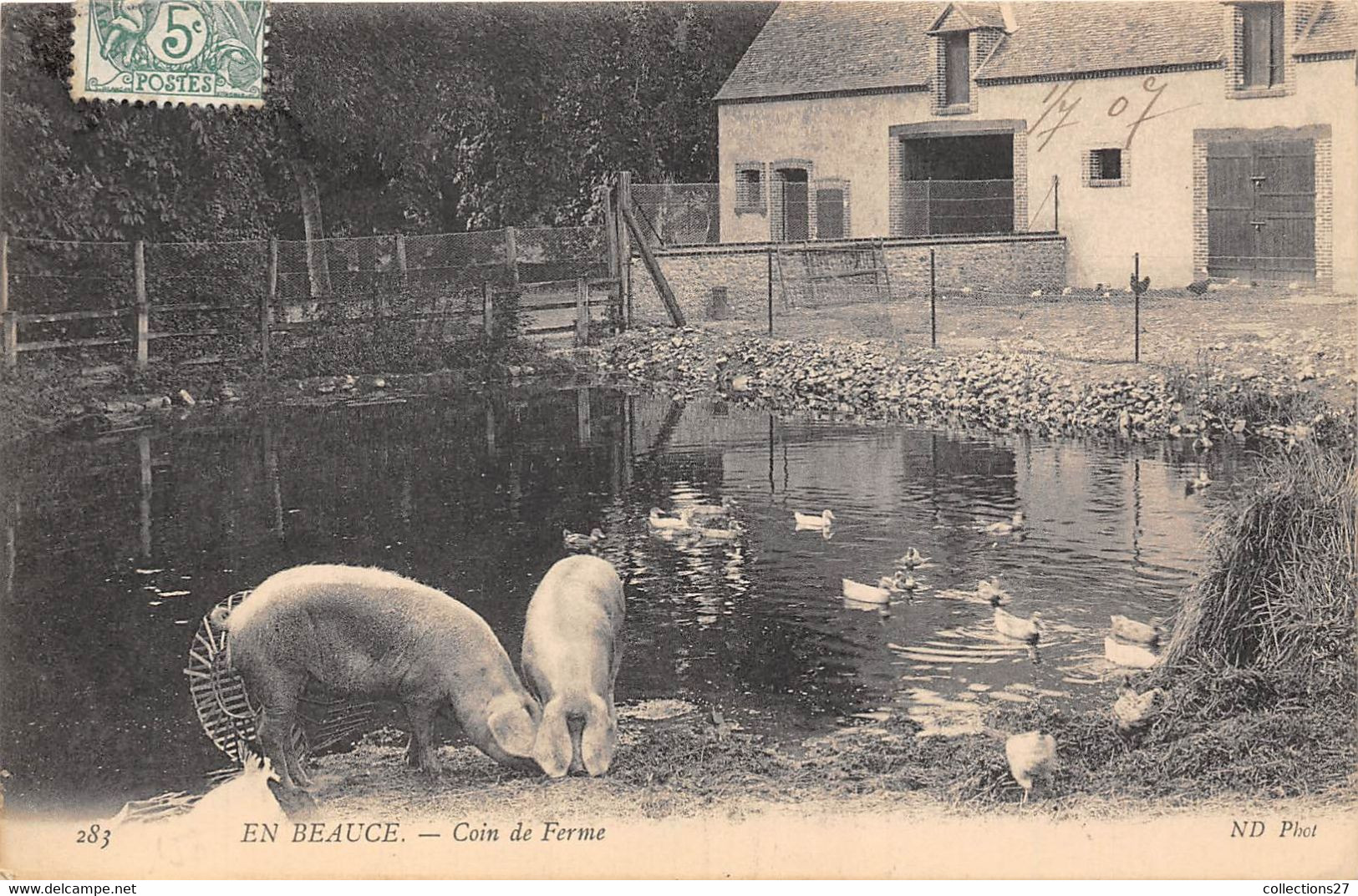 EN BEAUCE- COIN DE FERME - Bauernhöfe