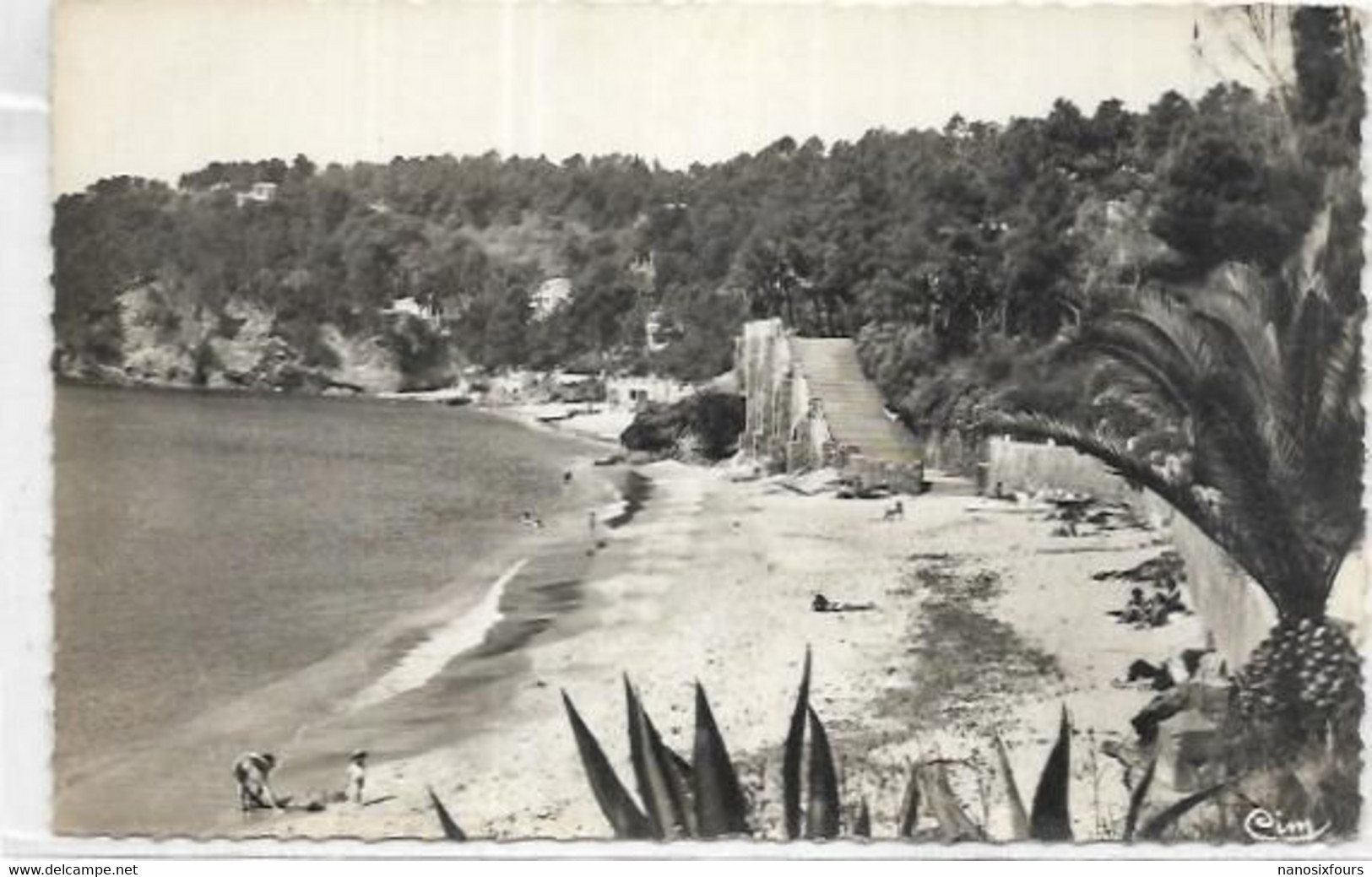 D 83. LE RAYOL CANADEL.  LA PLAGE - Rayol-Canadel-sur-Mer