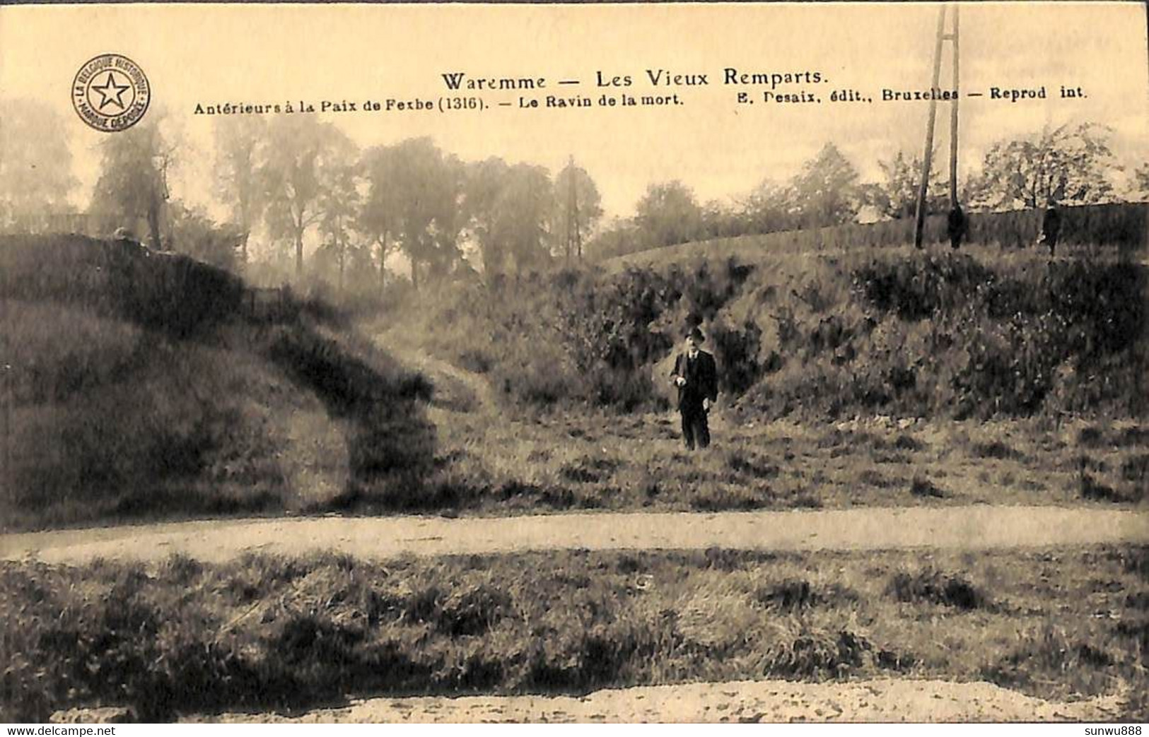 Waremme - Les Vieux Remparts (Belgique Historique, Animée Desaix) - Waremme