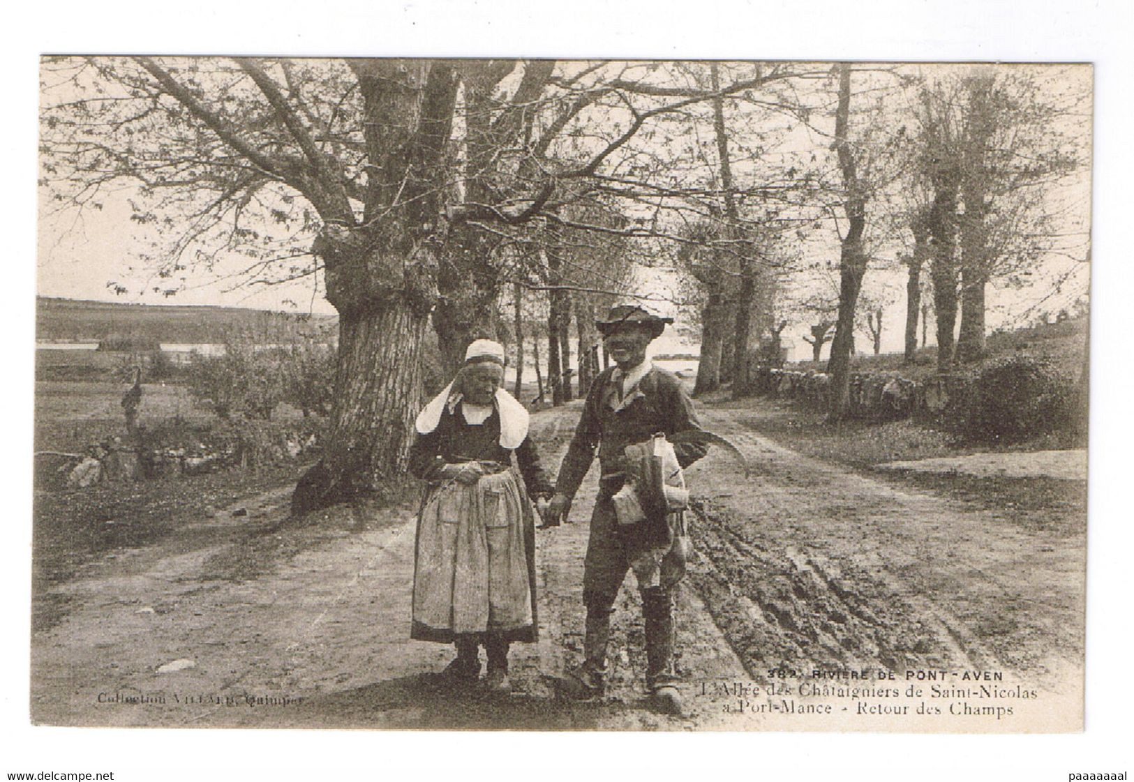 PORT MANECH  L ALLEE DES CHATAIGNIERS DE SAINT NICOLAS - Sonstige & Ohne Zuordnung