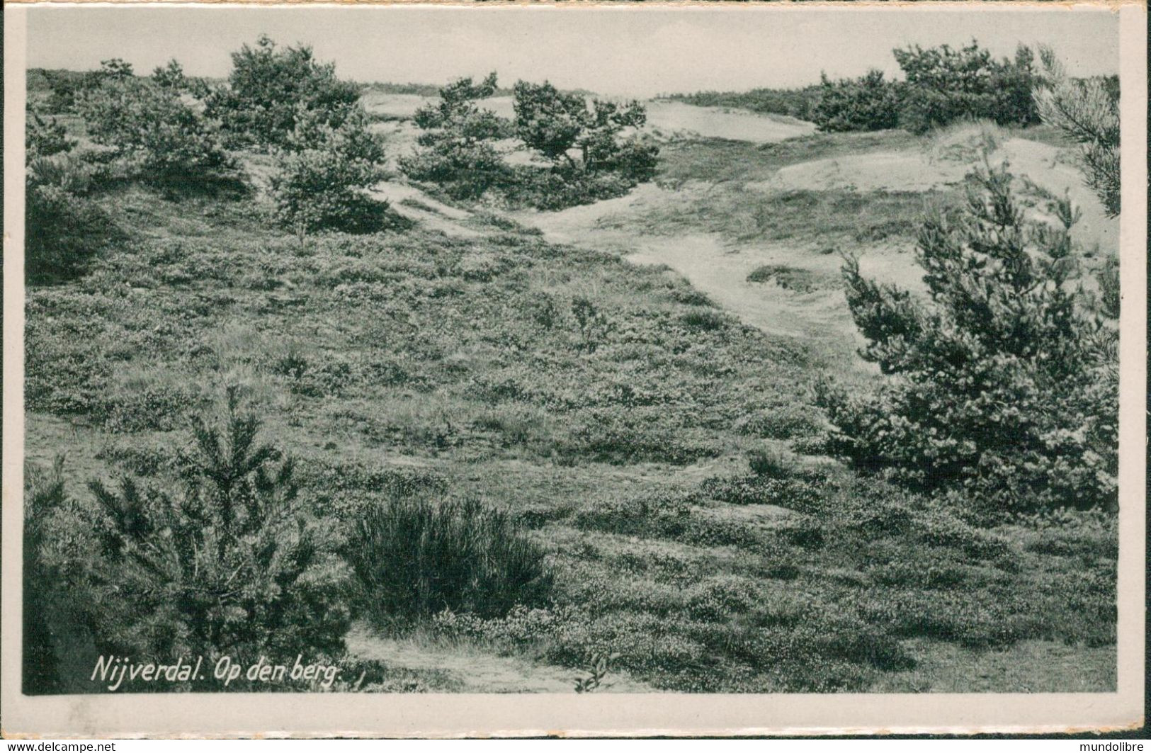 Niederlande - Alte Echtfotokarte NIJVERDAL, Op Den Berg - Nijverdal