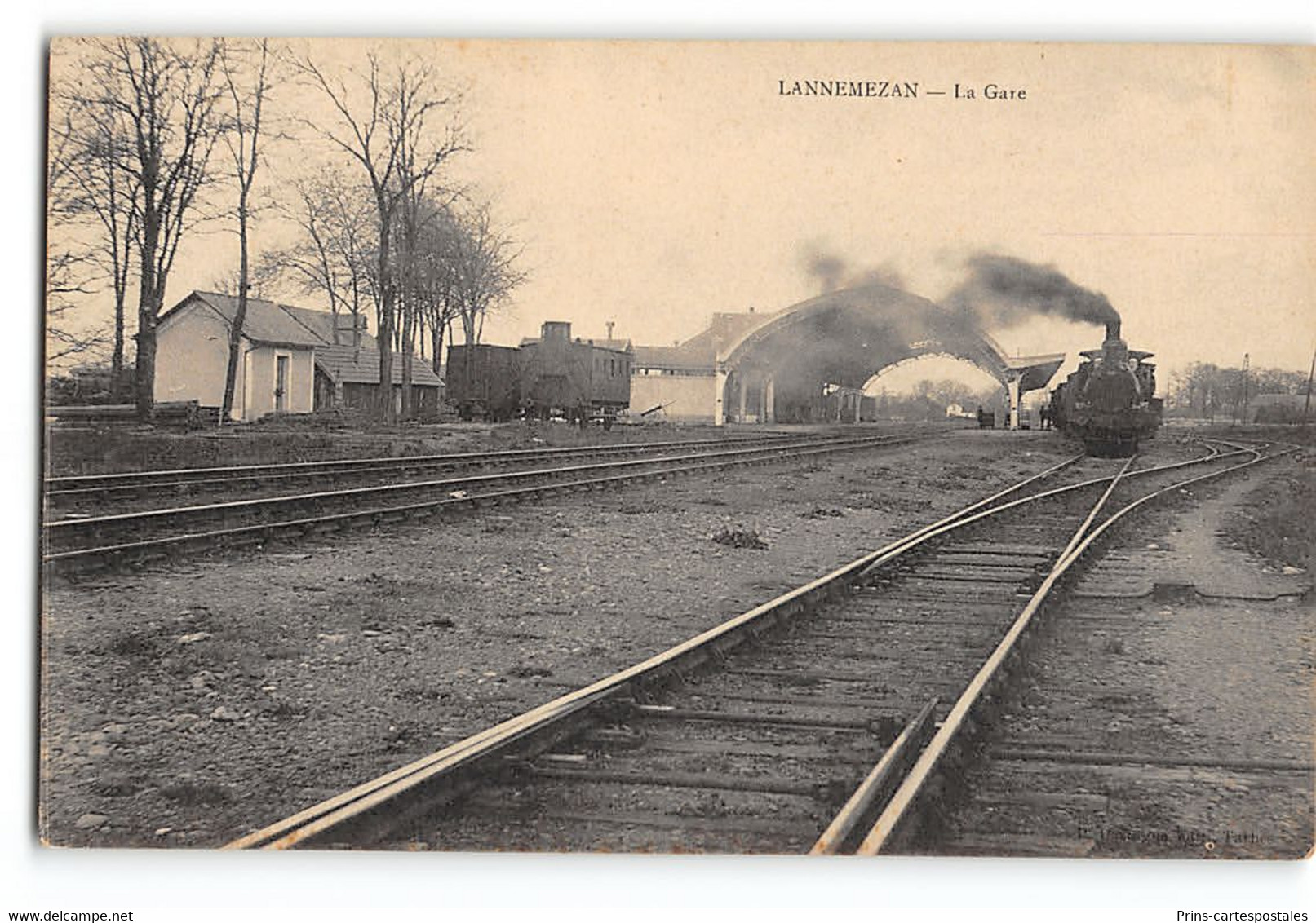CPA 65 Lannemezan La Gare Et Le Train - Lannemezan