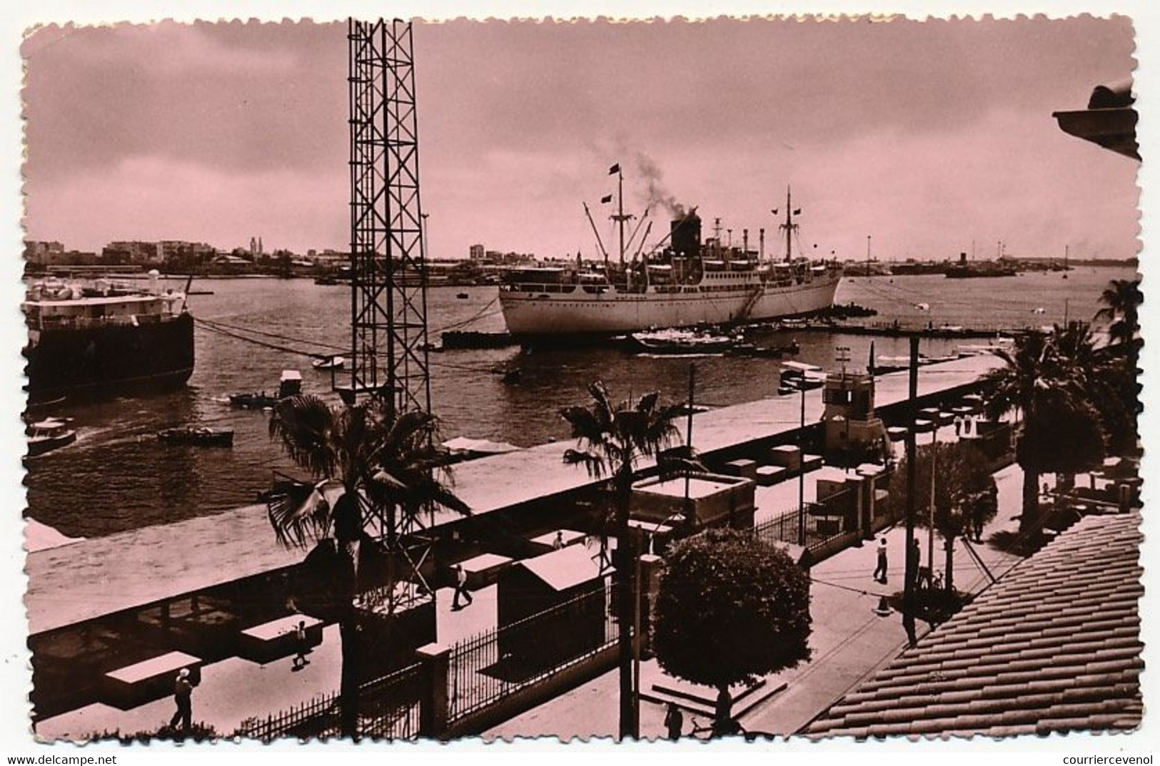 EGYPTE - Carte Postale De Port-Saïd - Timbres Surchargés, Oblit PAQUEBOT PORT SAID 1945 - Storia Postale
