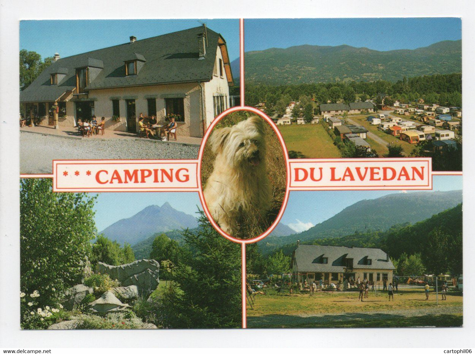 - CPM ARGELÈS-GAZOST (65) - CAMPING-CARAVANEIGE DU LAVEDAN - Edition A. DOUCET - - Argeles Gazost