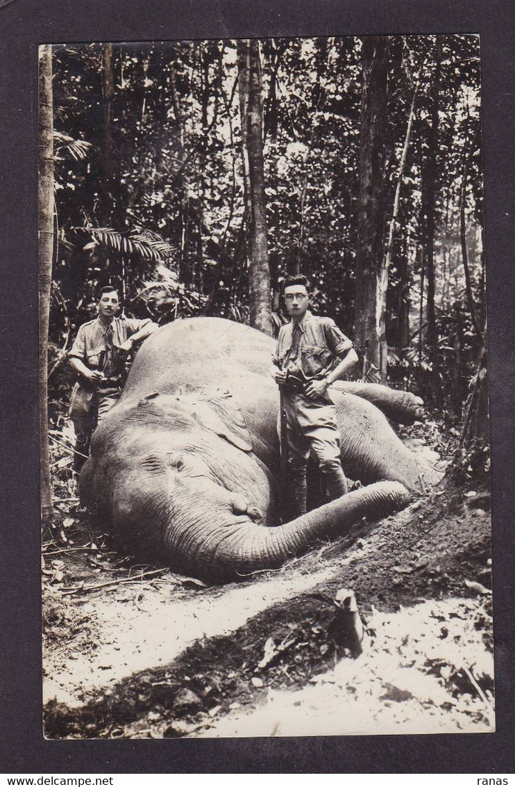 CPA éléphant Singapour Singapor Chasse Carte Photo Circulé - Elefanten