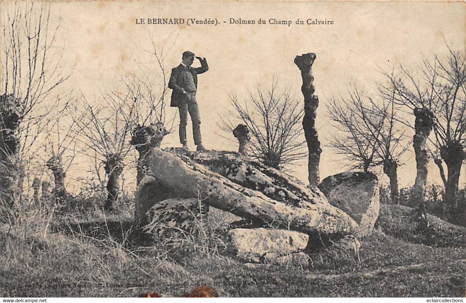 Thème: Dolmen Et Menhir:     Le Bernard    85     Dolmen Du Champ De Calvaire      (voir Scan) - Dolmen & Menhire