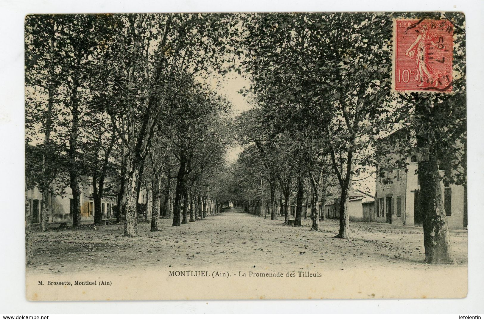 CPA: 01 - MONTLUEL - LA PROMENADE DES TILLEULS - - Montluel