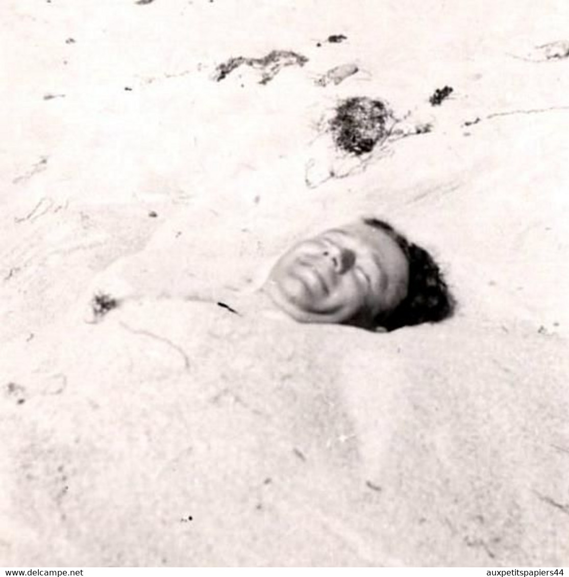 Amusante Photo Originale Portrait De Playboy Enterrer à La Plage De Hiddensee Île En Allemagne 1944 - Seule La Tête Sort - Anonyme Personen