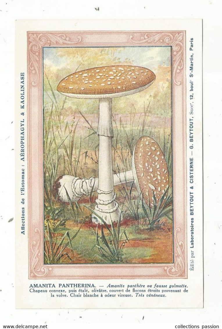 Chomo , Laboratoire G. Beytout Paris , Kaolinase , Champignon ,  AMANITA PANTHERINA ,amanite Panthère , 2 Scans - Altri & Non Classificati