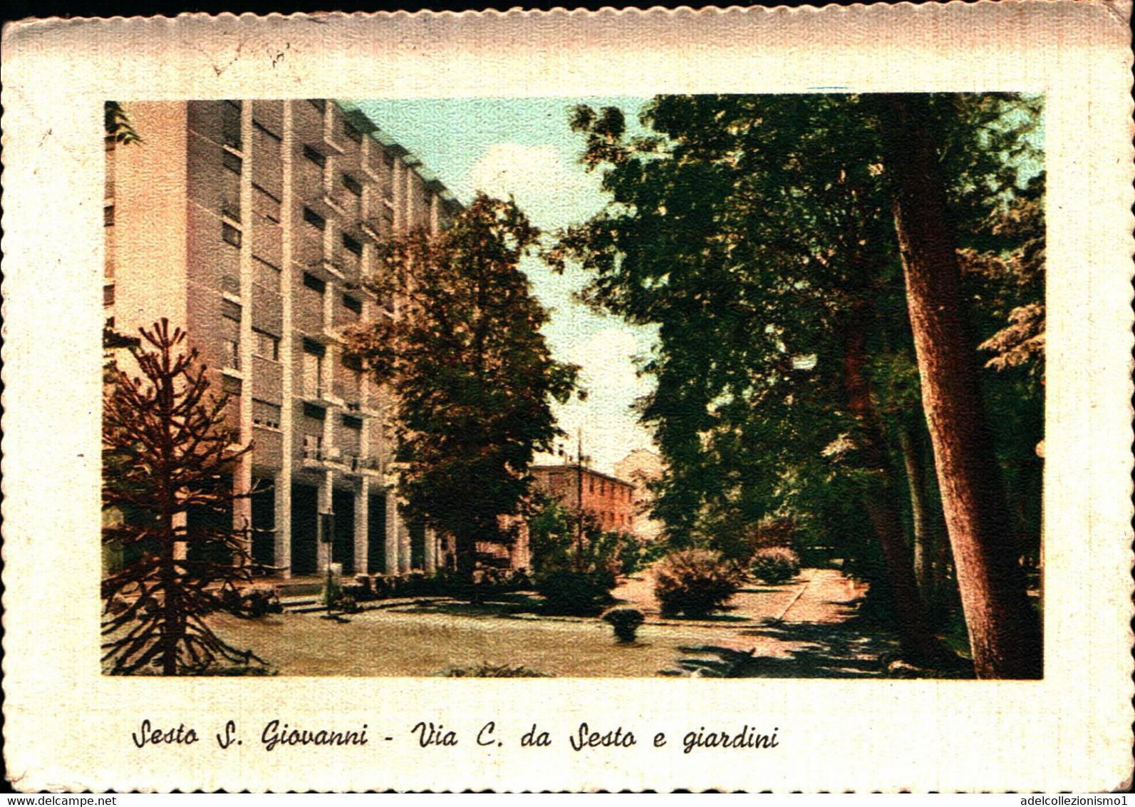 21670) CARTOLINA DI SETO SAN GIOVANNI-VIA C. DA SESTO E GIARDINI-VIAGGIATA-VEDI FOTO - Sesto San Giovanni