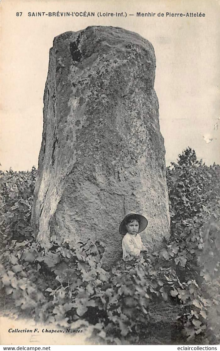 Thème: Dolmen Et Menhir:      Saint Brévin L'Océan    44    Menhir De Pierre Attelée      (voir Scan) - Dolmen & Menhirs