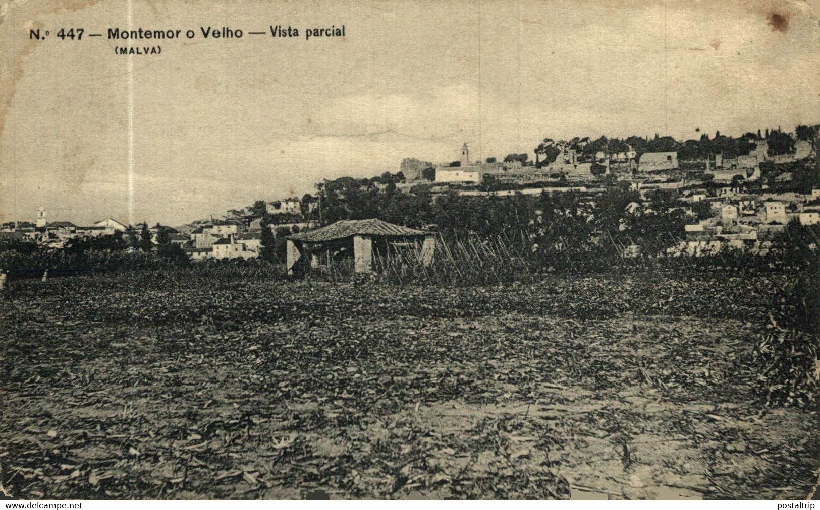 PORTUGAL. MONTEMOR-O-VELHO. VISTA PARCIAL. - Coimbra