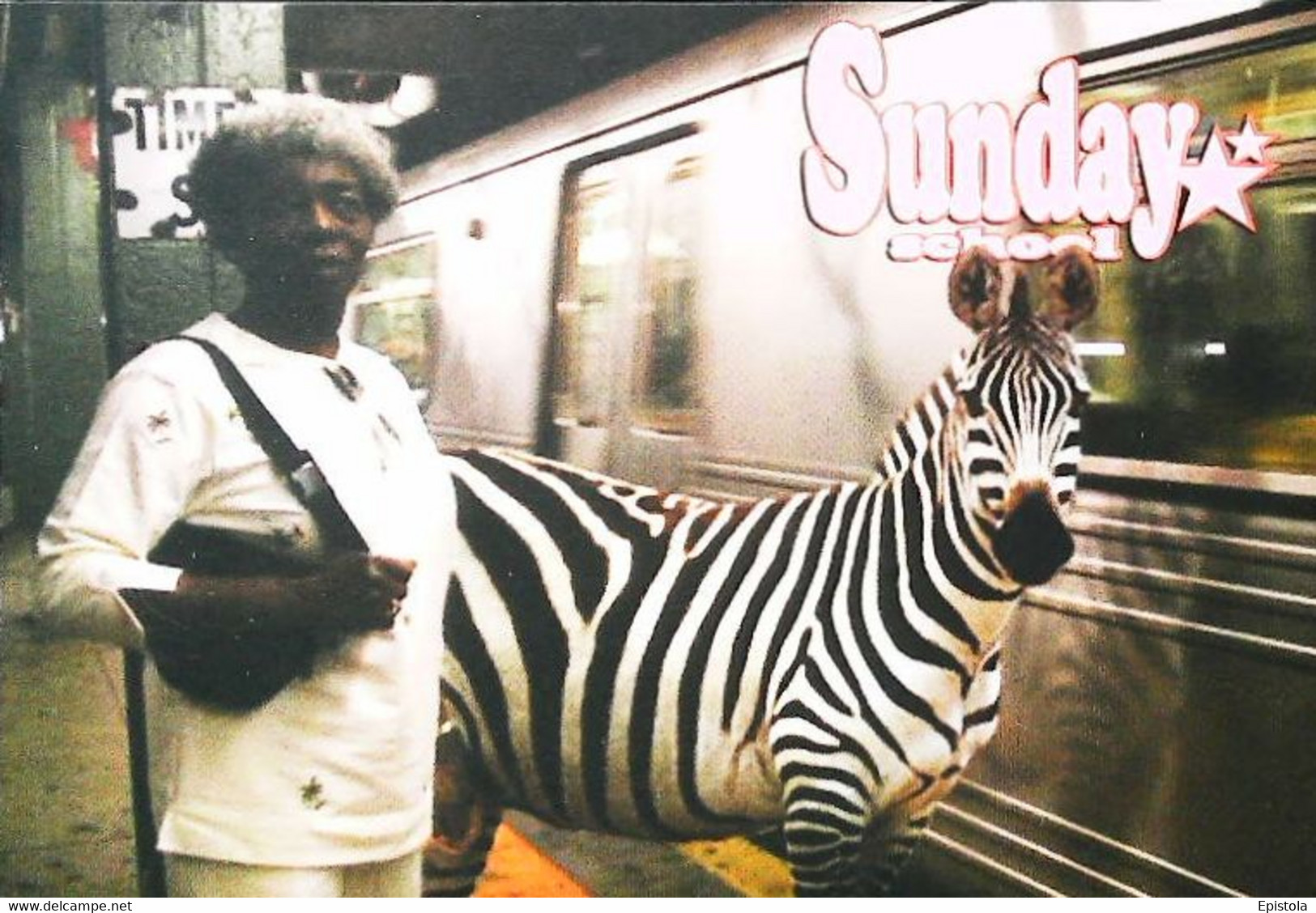 CPSM  Zèbre  Sunday School   2003 - Zebras
