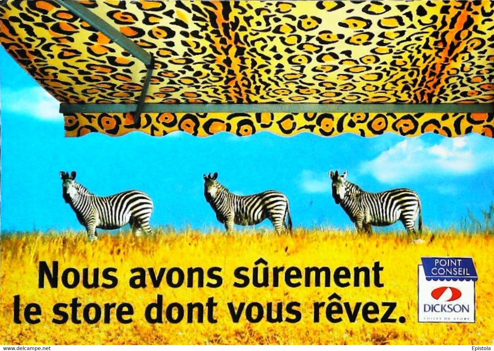 CPSM  Zèbre Publicité Store Dickson - Zebras