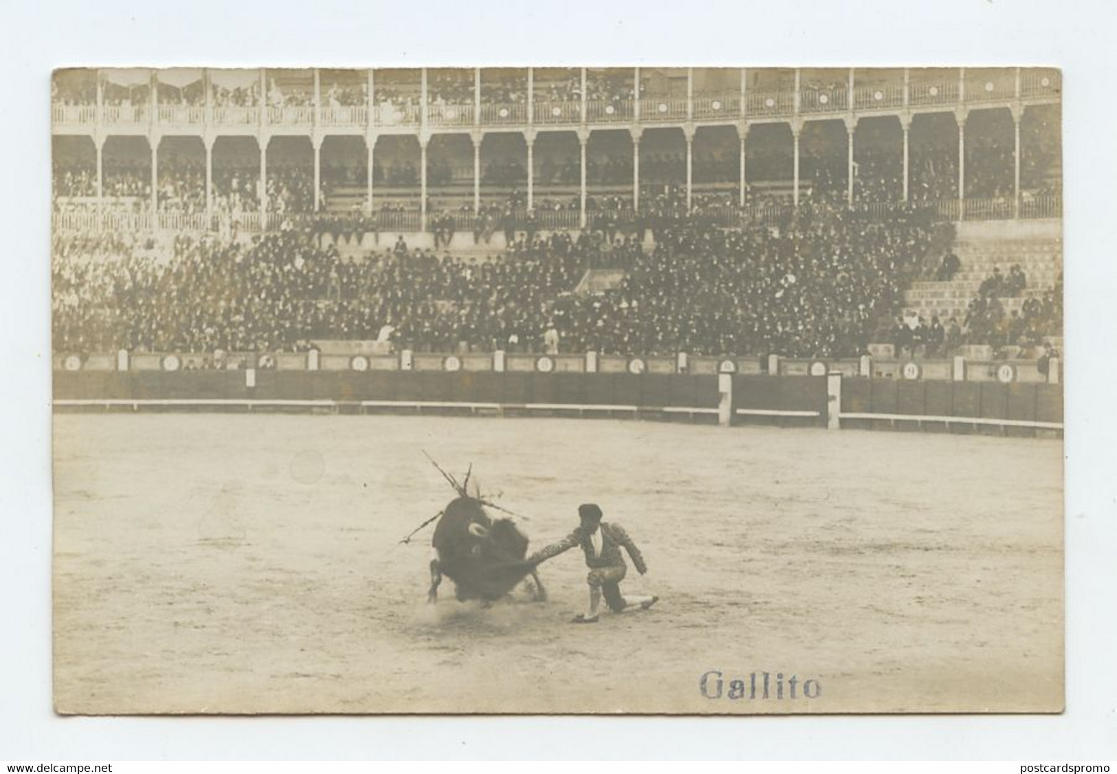 Tourada, Corrida, Bullfight, REAL PHOTO Pc.  ( 2 Scans ) - Stierkampf