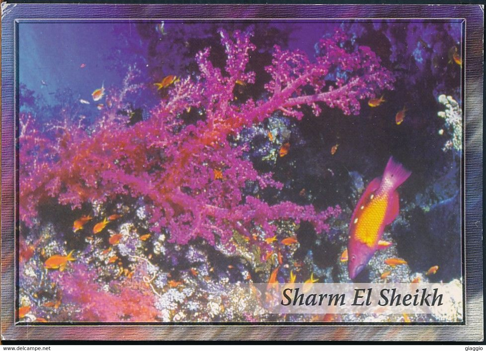 °°° GF978 - EGYPT - SHARM EL SHEIKH - 2007 With Stamps °°° - Sharm El Sheikh