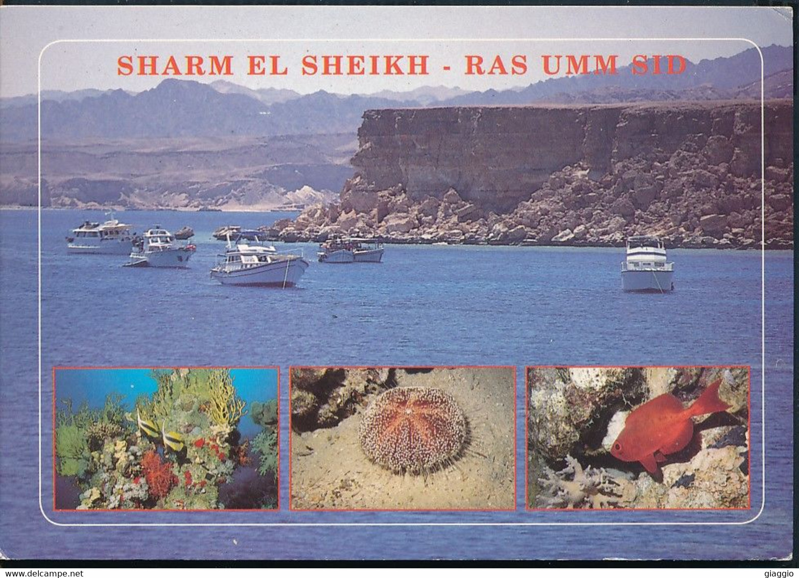 °°° GF981 - EGYPT - SHARM EL SHEIKH - RAS UMM SID - 2004 With Stamps °°° - Sharm El Sheikh