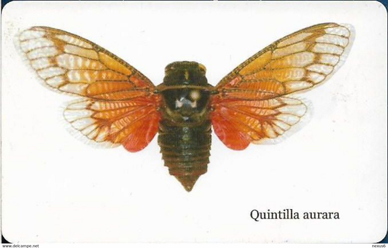 S. Africa - MTN - Insects - Quintilla Aurara, 01.2004, 15R, 100.000ex, Used - Suráfrica