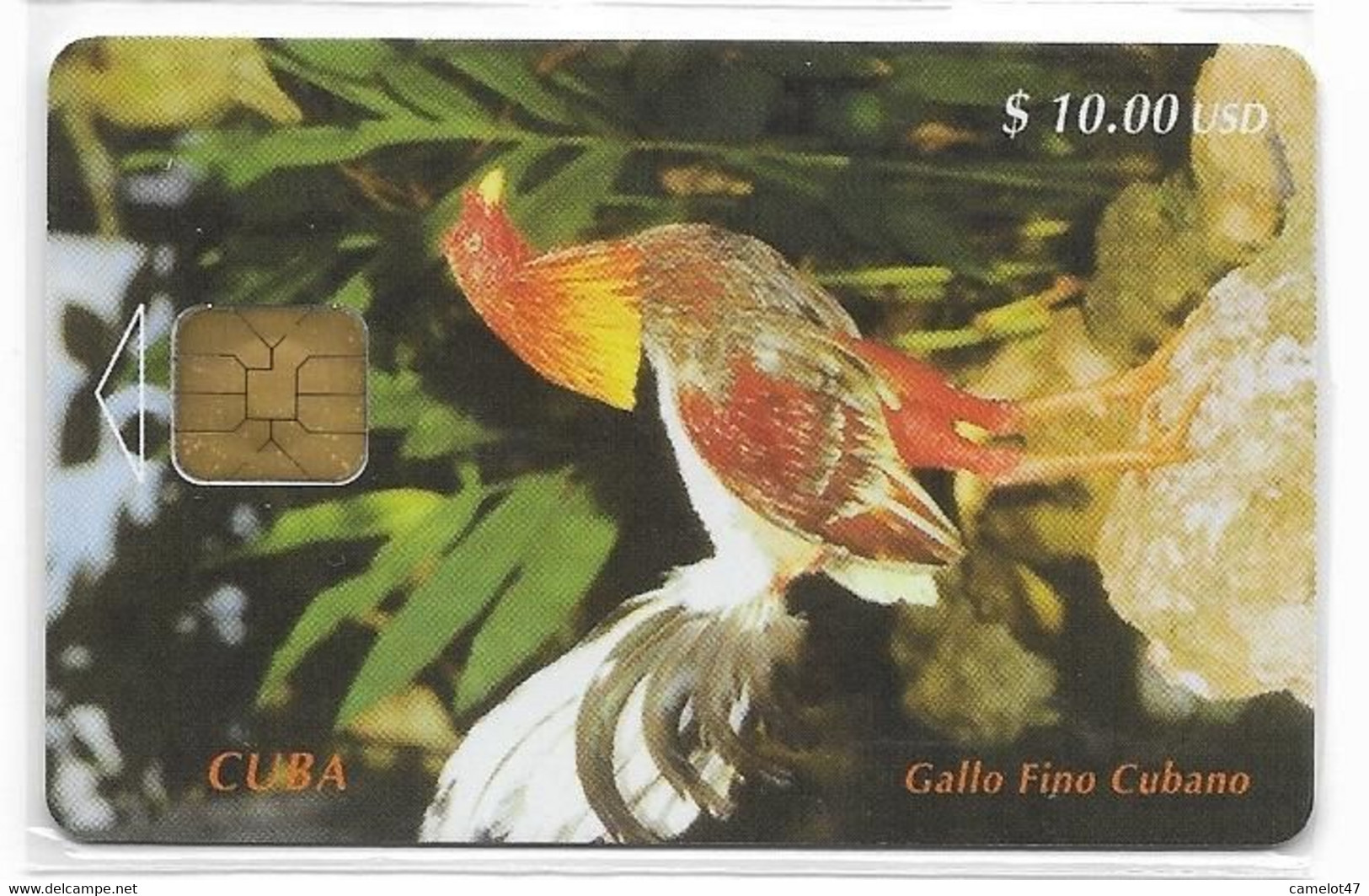 CUBA, Used Chip Phonecard, In Perfect Condition, Gallo Fino Cubano, # Cuba-9 - Cuba