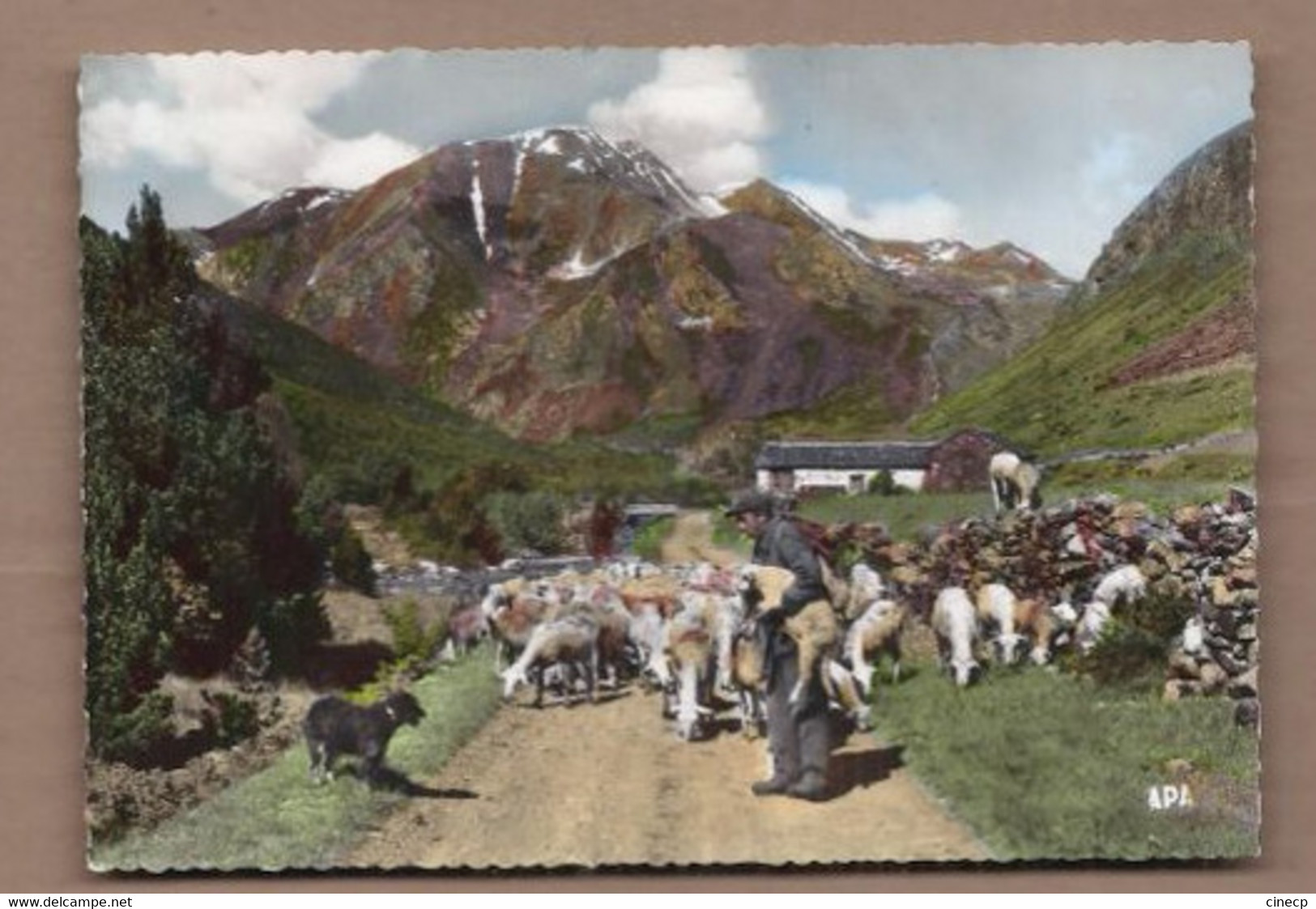 CPSM 66 - PORTE PUYMORENS - Départ Des Troupeaux - Cartal Michette TB PLAN MOUTONS BREBIS BERGER - Le Pont De Montvert