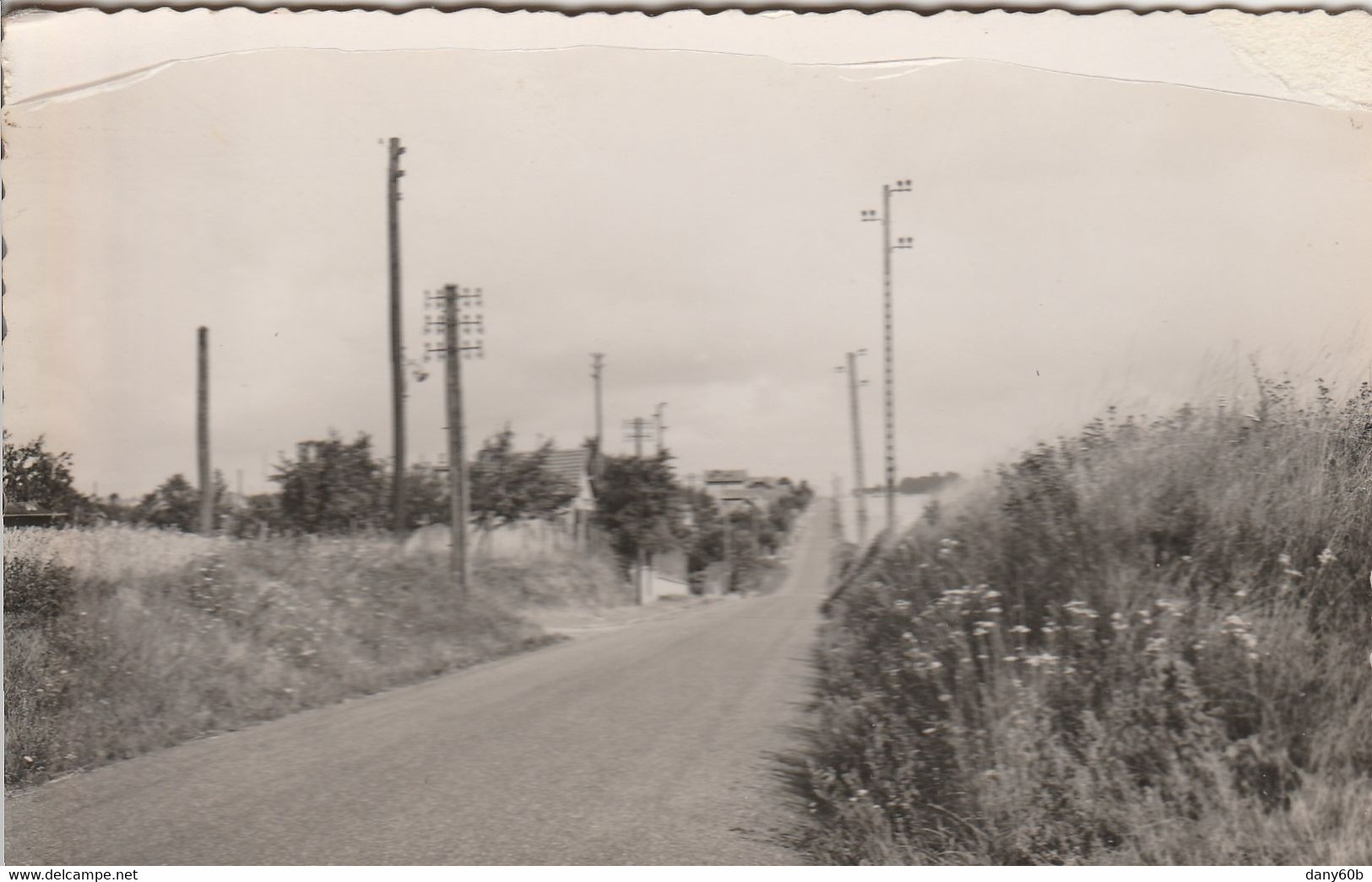 REF.AB . CPSM.PF .95 . LOUVRES . ROUTE DE COUDRAY - Louvres