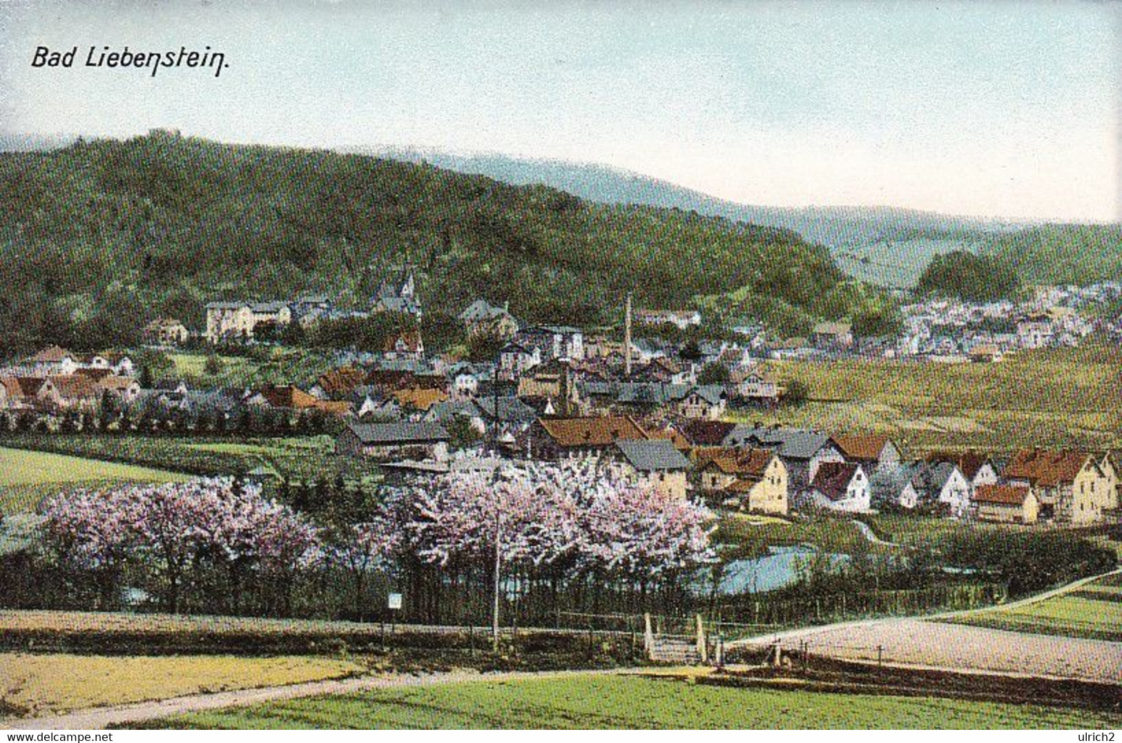 AK Bad Liebenstein - Panorama - Ca. 1910 (52259) - Bad Liebenstein