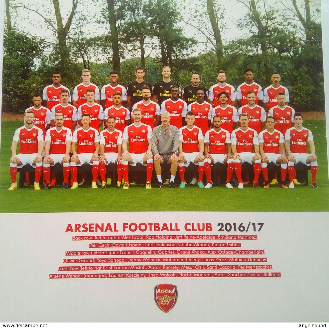 Arsenal Football Team Photo (Signed At The Back) - Sonstige & Ohne Zuordnung