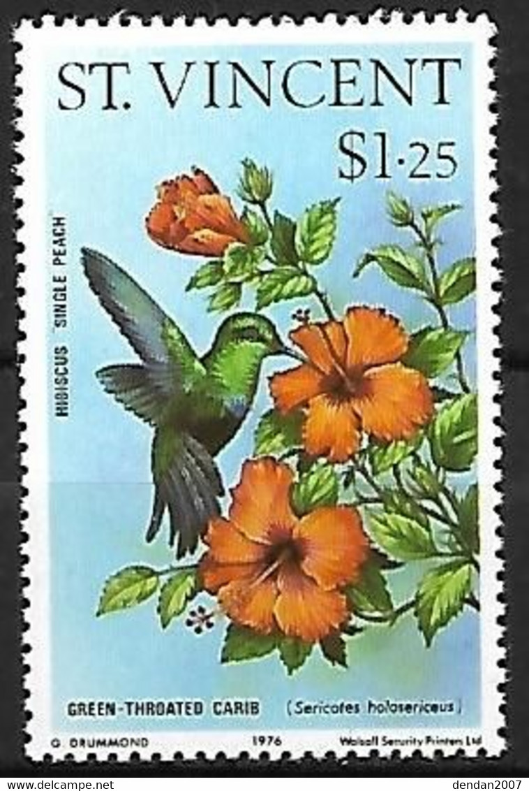 St Vincent - MNH ** 1976 : Hummingbirds And Hibiscuses :    Green-throated Carib -   Eulampis Holosericeus - Segler & Kolibris