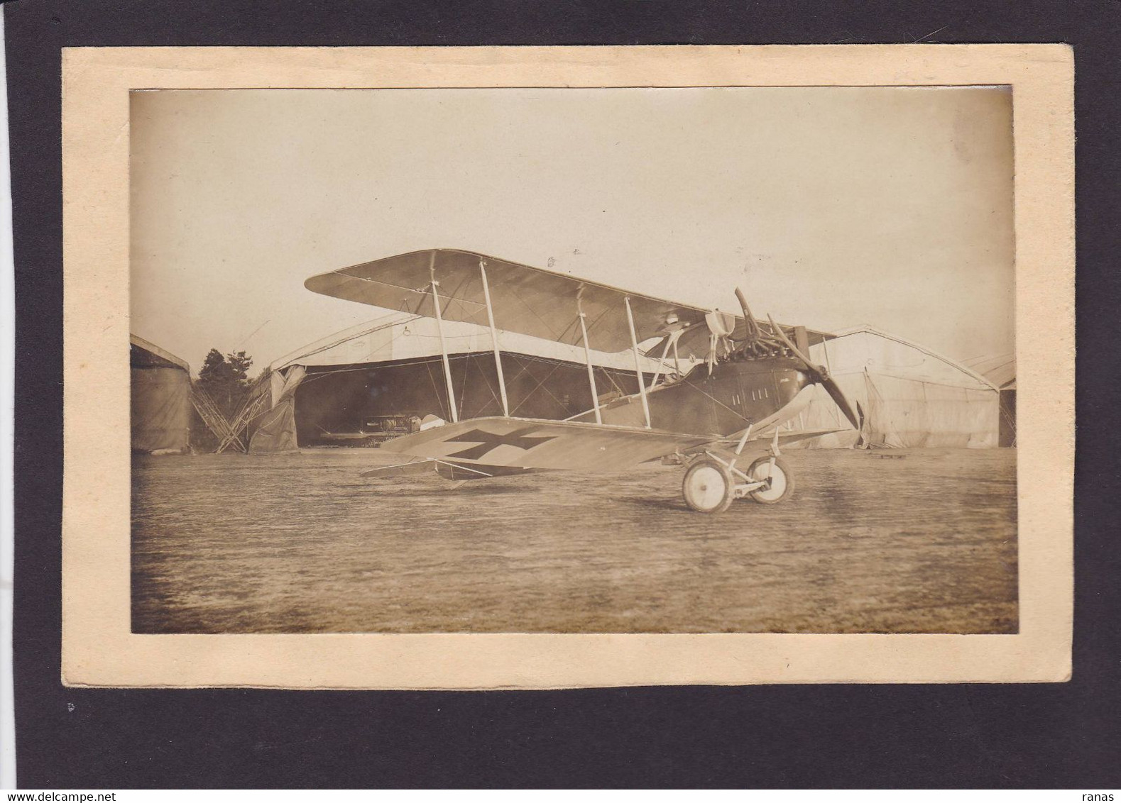 Photo Aviation Avion Albatros Allemagne Voir Dos 1917 - Aviazione