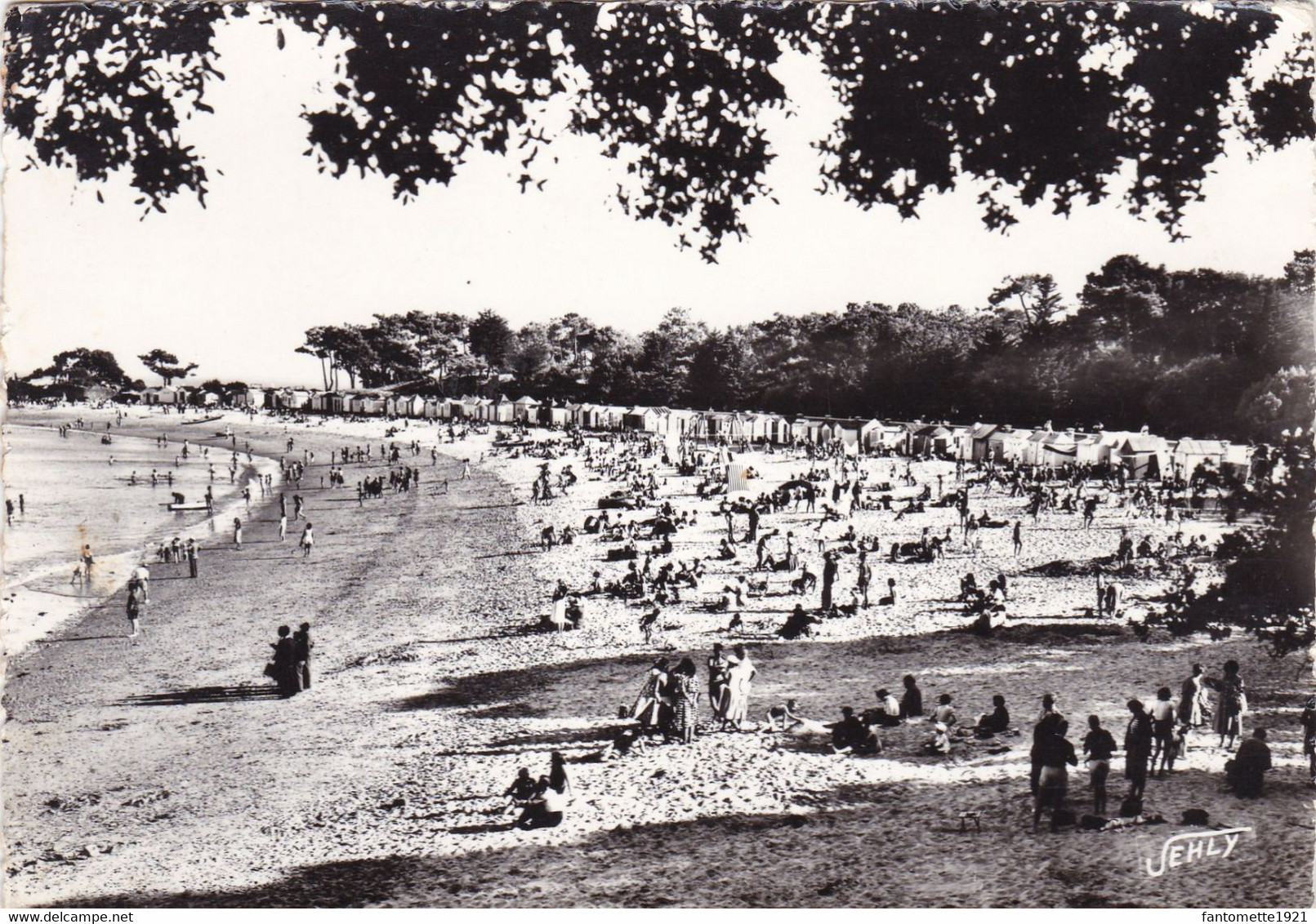 LA PLAGE DES DAMES VUE DU BOIS DE LA CHAIZE (ANA3) - Ile De Noirmoutier