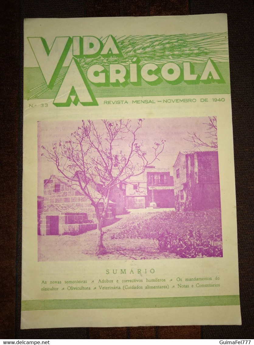 Revista Portuguesa  Nº 33 Year 1940 "VIDA AGRICOLA" Capa, Aspeto Da Secção Regional Exposição Do Mundo Português. - Magazines