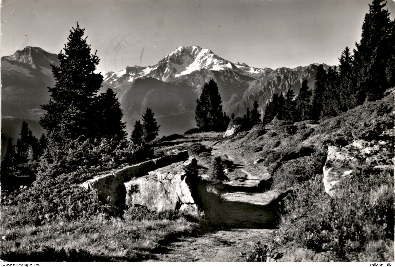 Riederalp - Casselweg Am Riederhorn (13221) * 29. 7. 1965 - Riederalp