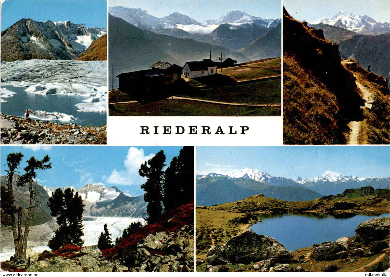 Riederalp - 5 Bilder (44900) * 29. 7. 1969 - Riederalp